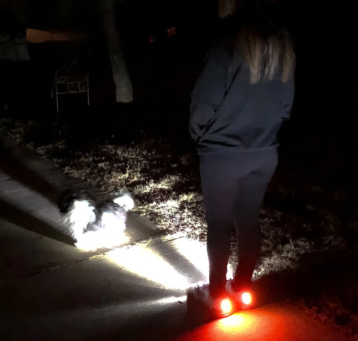 Shoes With Built-in Safety Lights